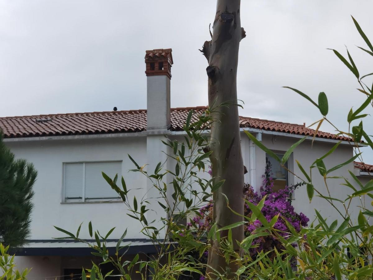 Pine And Lime Apartments Pula Exterior foto