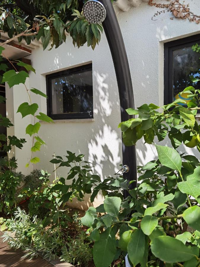 Pine And Lime Apartments Pula Exterior foto